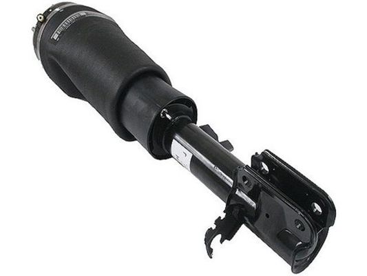 কেনা RNB500540 বায়ু সাসপেনশন অংশ বায়ু সাসপেনশন স্ট্রট online manufacture