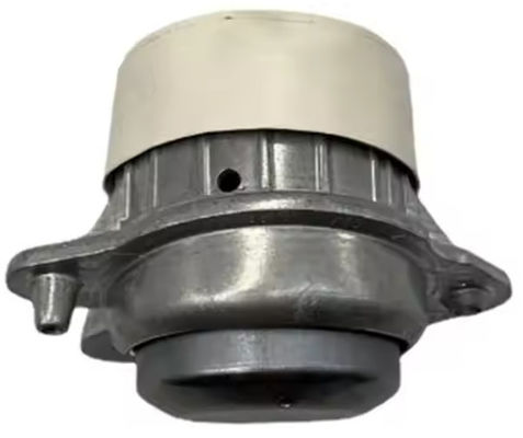 কেনা মার্সেডিজ বেনজ ২২২২৪০৫১১৭ চ্যাসি পার্টস ইঞ্জিন মাউন্ট online manufacture