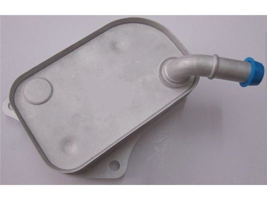 06B117021 ইঞ্জিন পার্টস অয়েল কুলার