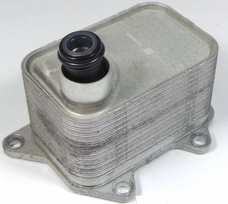 06L117021E ইঞ্জিন পার্টস অয়েল কুলার