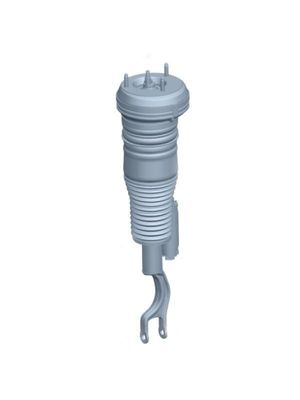 2233207202 বায়ু সাসপেনশন অংশ বায়ু সাসপেনশন স্ট্রট