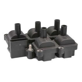 071905106 ইঞ্জিনের যন্ত্রাংশ VW GOLF, SEAT এর জন্য ইগনিশন কয়েল